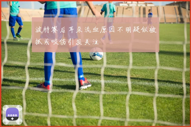 波特赛后耳朵流血原因不明疑似被抓或咬伤引发关注