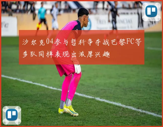 沙尔克04参与哲科争夺战巴黎FC等多队同样表现出浓厚兴趣